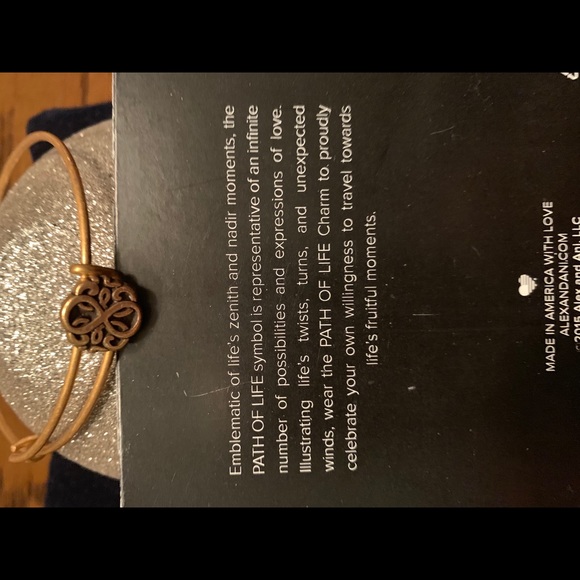 Alex and Ani Path of Life slider bracelet - Picture 4 of 4
